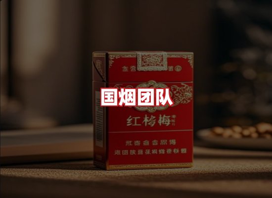 国烟团队